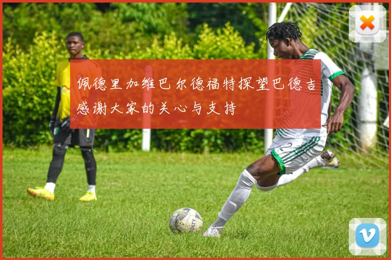 佩德里加维巴尔德福特探望巴德吉感谢大家的关心与支持