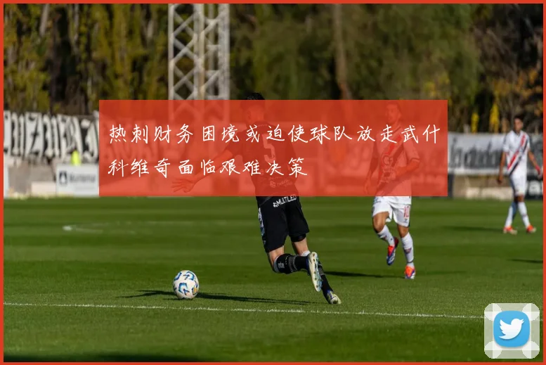 热刺财务困境或迫使球队放走武什科维奇面临艰难决策