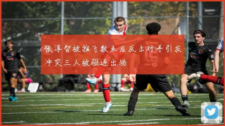 张淳智被推飞数米后反击对手引发冲突三人被驱逐出场